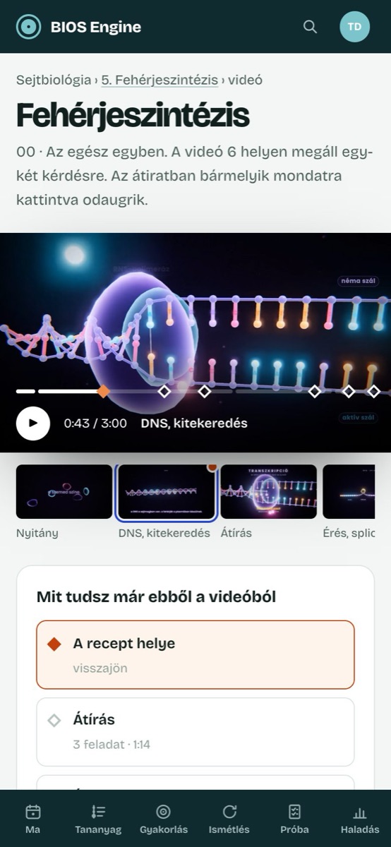 Videós lecke a fehérjeszintézisről, 3D-s DNS-sel és megállókkal
